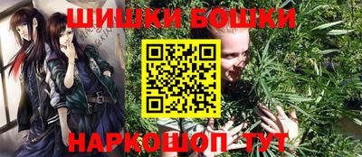 МДПВ Новодвинск
