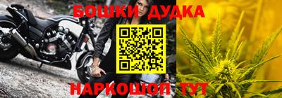 МДПВ Новодвинск