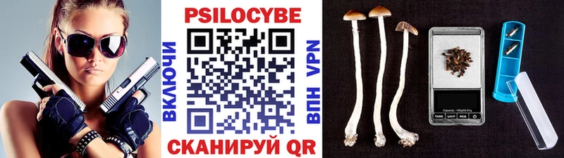 мега маркетплейс  Балашов  Галлюциногенные грибы Psilocybine cubensis  купить  