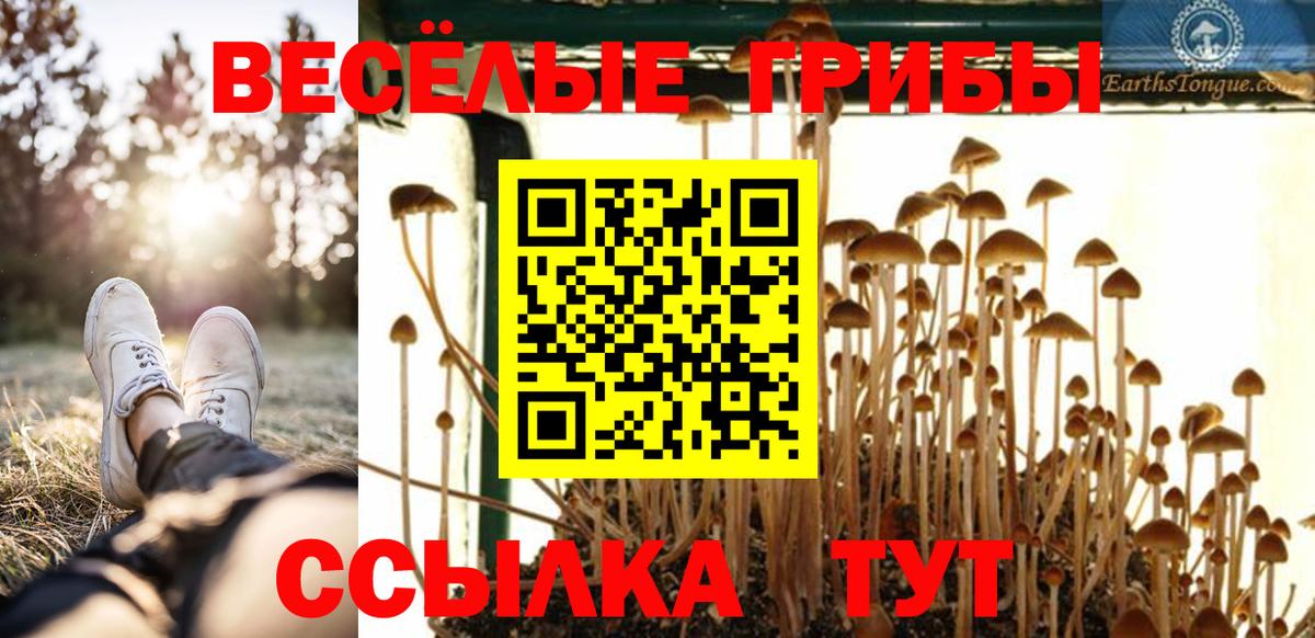 Галлюциногенные грибы прущие грибы Балашов