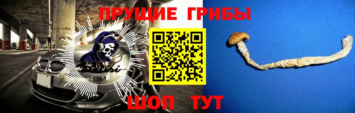 Псилоцибиновые грибы мухоморы  Вход с VPN  Балашов 