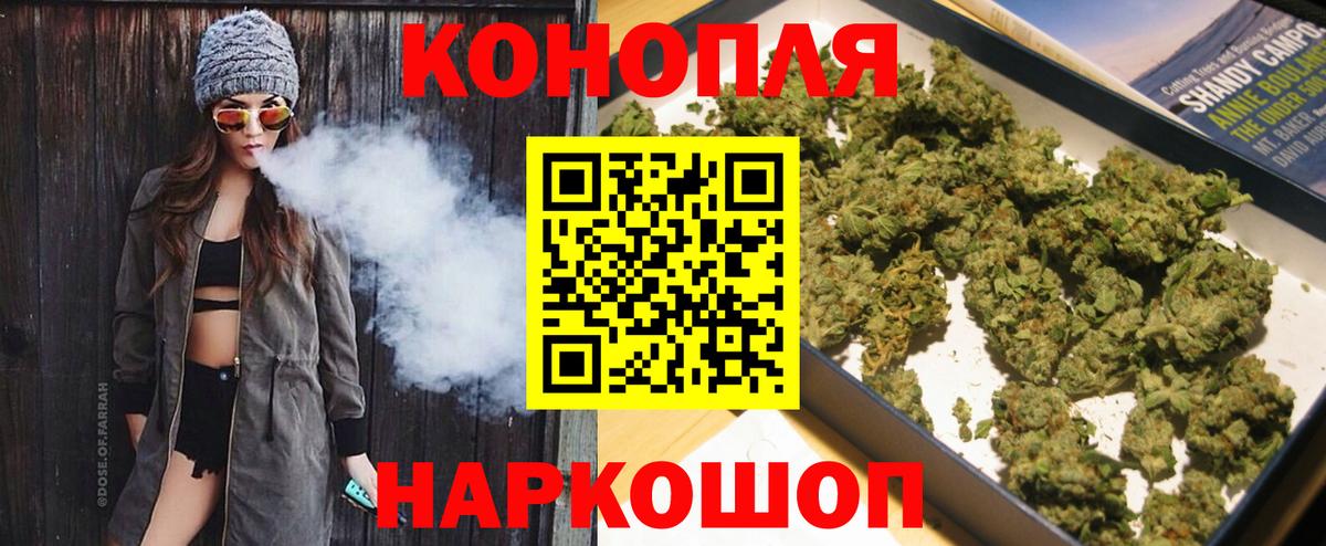 Бошки Шишки план Балашов